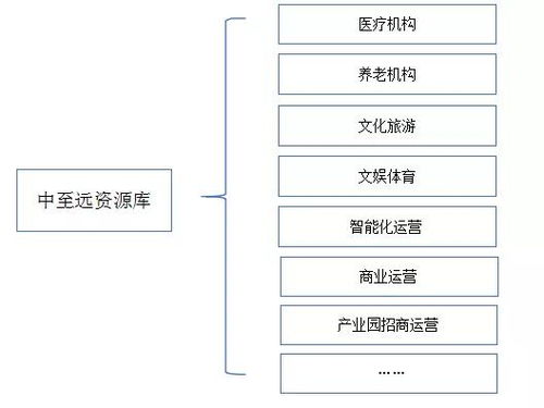 地方政府專項債發行全流程綜合咨詢服務方案——中至遠咨詢，以專業技術與防偽保障護航地方發展